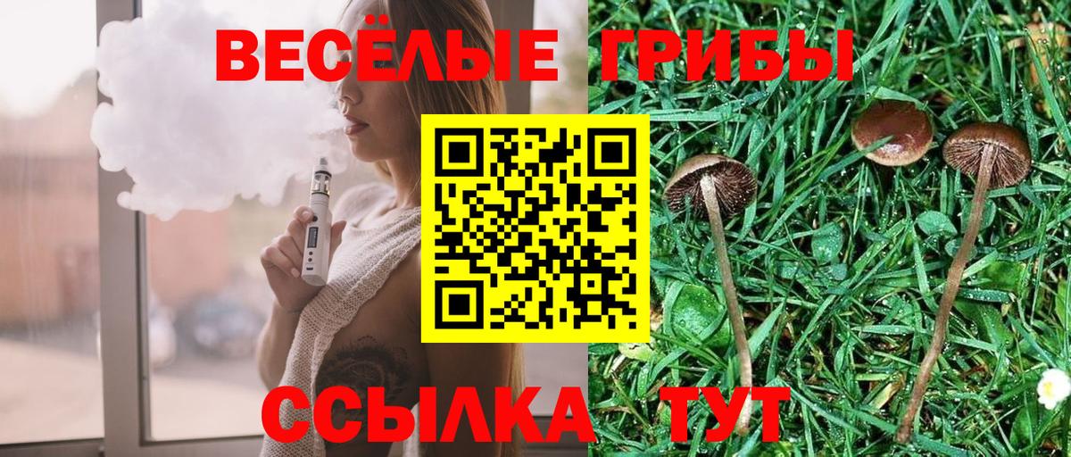Псилоцибиновые грибы мицелий Ревда