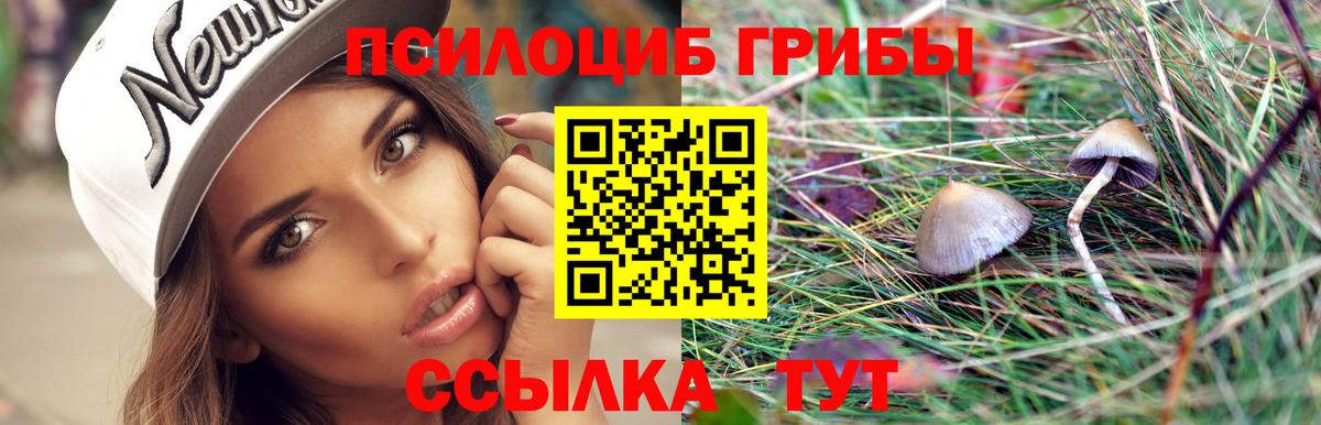 цена наркотик  Галлюциногенные грибы Magic Shrooms  Вход с VPN  Ревда 